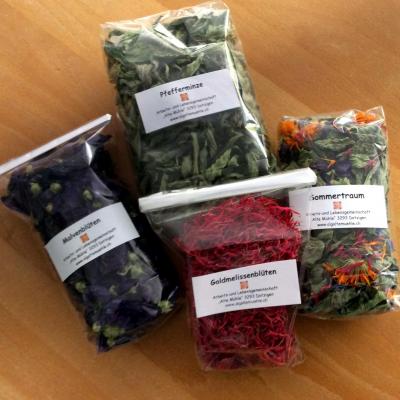 104 tee food mitbringsel b