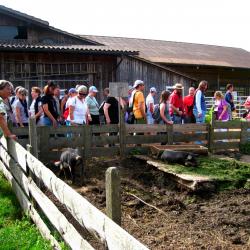 Ausflug 2017 059 spycher gruppe wollschwein b