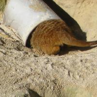 Img 7069 bb