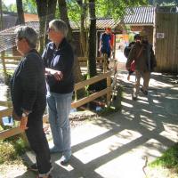 Img 7083 b