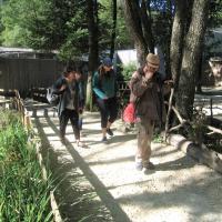Img 7084 b