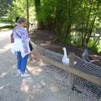 Img 7085 b